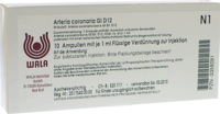 ARTERIA CORONARIA GL D 12 Ampullen