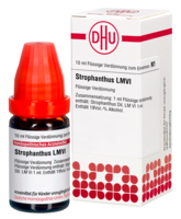 STROPHANTHUS LM VI Dilution