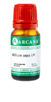 ALLIUM CEPA LM 9 Dilution