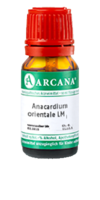 ANACARDIUM ORIENTALE LM 4 Dilution