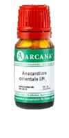 ANACARDIUM ORIENTALE LM 5 Dilution