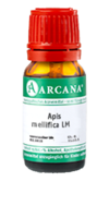 APIS MELLIFICA LM 28 Dilution