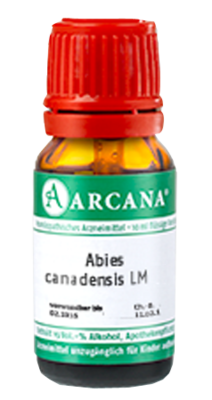 ABIES CANADENSIS LM 12 Dilution