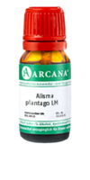 ALISMA plantago LM 30 Dilution