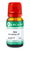 ALOE SOCOTRINA LM 2 Dilution