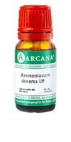 AMMONIACUM dorema LM 15 Dilution