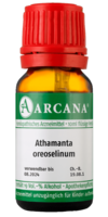 ATHAMANTA oreoselinum LM 11 Dilution