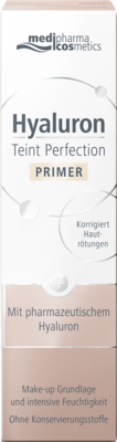 HYALURON TEINT Perfection Primer