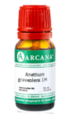 ANETHUM graveolens LM 16 Dilution